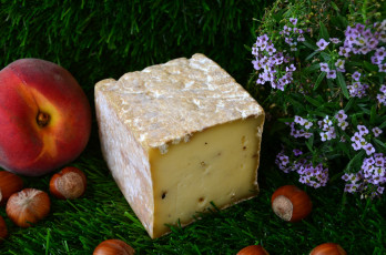 обоя lingot au poivre des pyr&, 233, n&, es, еда, сырные изделия, сыр