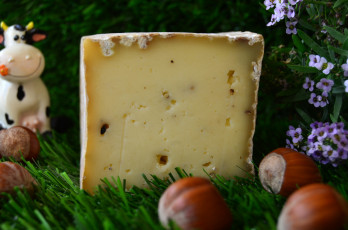 обоя lingot au poivre des pyr&, 233, n&, es, еда, сырные изделия, сыр