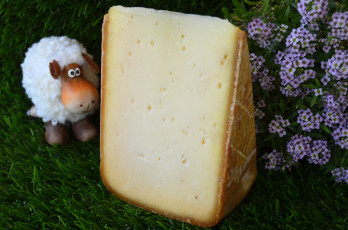 Картинка mazeris+brebis еда сырные+изделия сыр