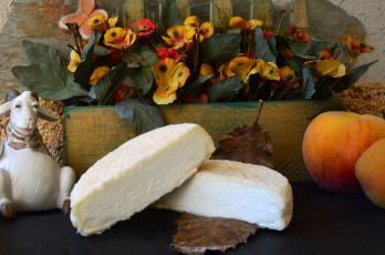 Картинка mothais+& 224 +la+feuille еда сырные+изделия сыр