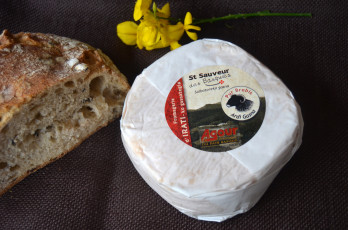 обоя st sauveur des basques, еда, сырные изделия, сыр