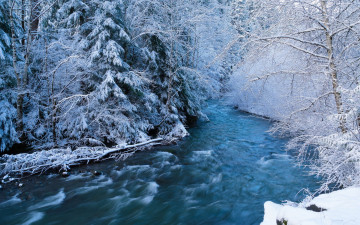 Картинка природа реки озера зима снег лес поток река