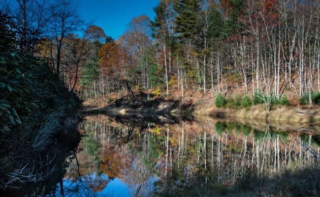 Обои картинки фото природа, реки, озера, река, лес, осень