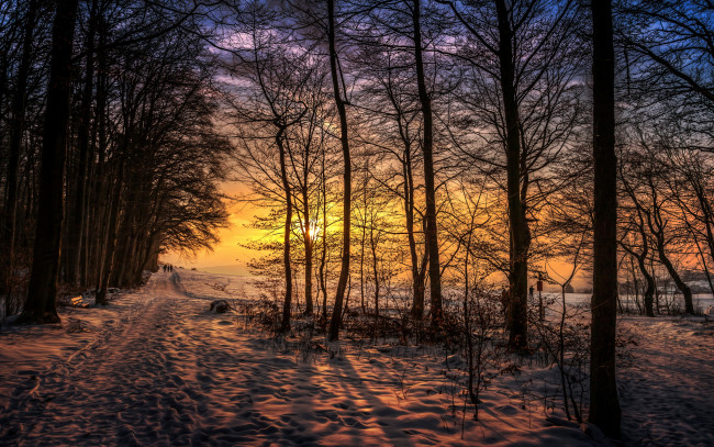 Обои картинки фото природа, восходы, закаты, прогулка, закат, люди, деревья, вечер, снег, зима, лес