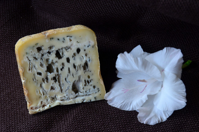 Обои картинки фото blau de b&, 250, fala montbru, еда, сырные изделия, сыр