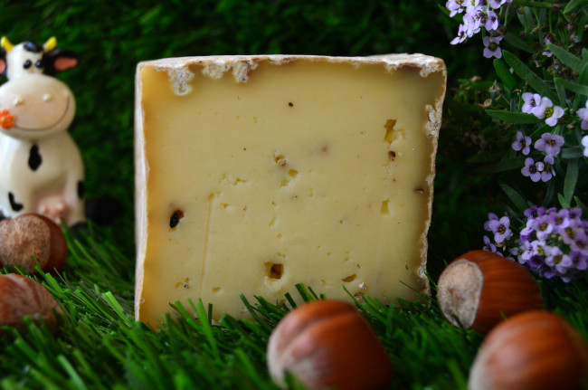Обои картинки фото lingot au poivre des pyr&, 233, n&, es, еда, сырные изделия, сыр