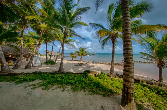 Обои картинки фото природа, тропики, океан, пляж, пальмы