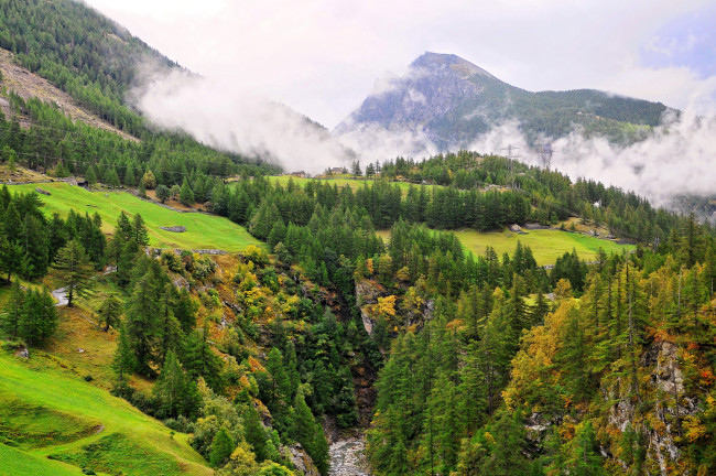 Обои картинки фото природа, пейзажи, трава, пейзаж, деревья, горы, швейцария