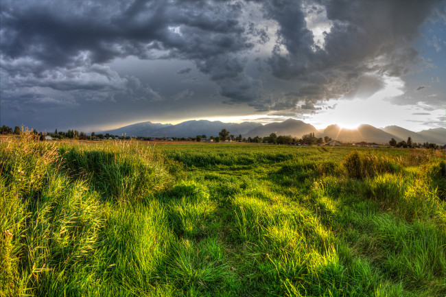 Обои картинки фото природа, восходы, закаты, поле, облака, трава