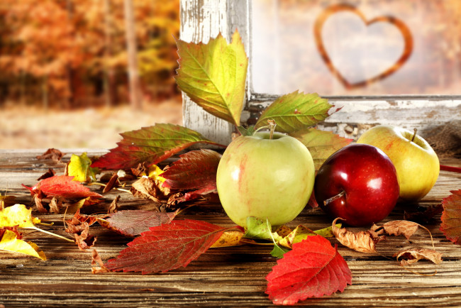 Обои картинки фото еда, Яблоки, листья, осень