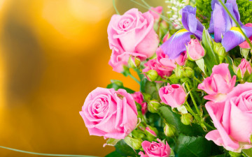 Картинка цветы букеты +композиции букет ирисы бутоны фон розы