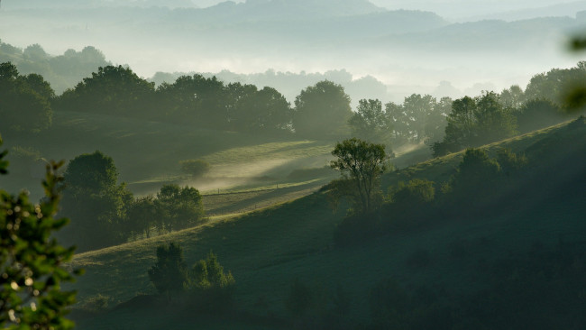 Обои картинки фото природа, пейзажи, деревья, утро, горы, туман, холмы, трава, небо