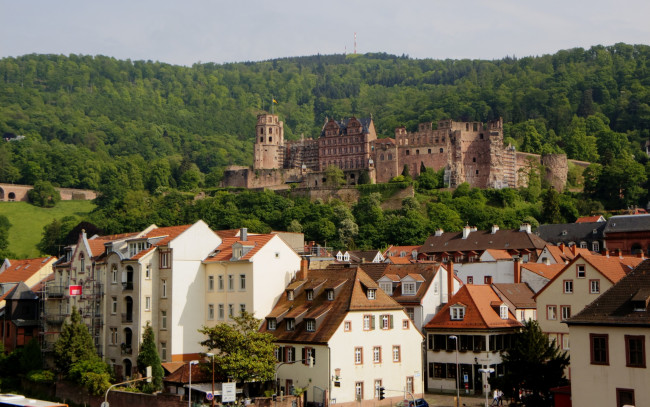 Обои картинки фото города, замки германии, замок, дома, здания, гейдельбергский, германия