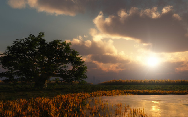 Обои картинки фото 3д графика, природа , nature, озеро, дерево, облака