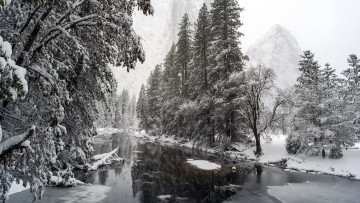 Картинка природа реки озера деревья река зима снег