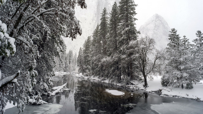 Обои картинки фото природа, реки, озера, деревья, река, зима, снег