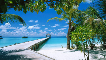 Картинка природа тропики море пляж песок пальмы