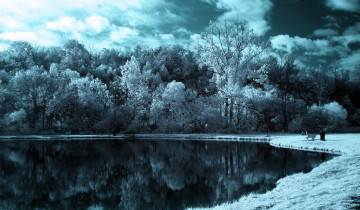 Картинка природа реки озера облака небо озеро лес деревья