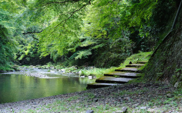 Картинка природа парк водоем ступени камни деревья