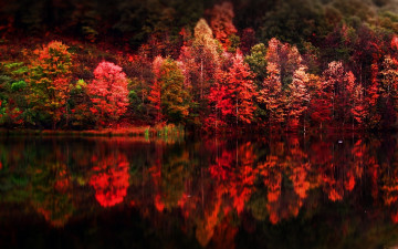 Картинка природа пейзажи в воде отражение краски осени