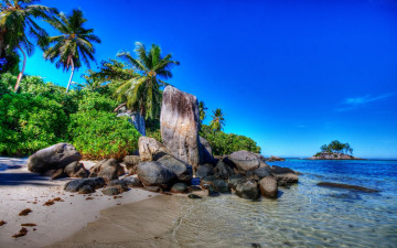 Картинка природа тропики пальмы камни море скалы