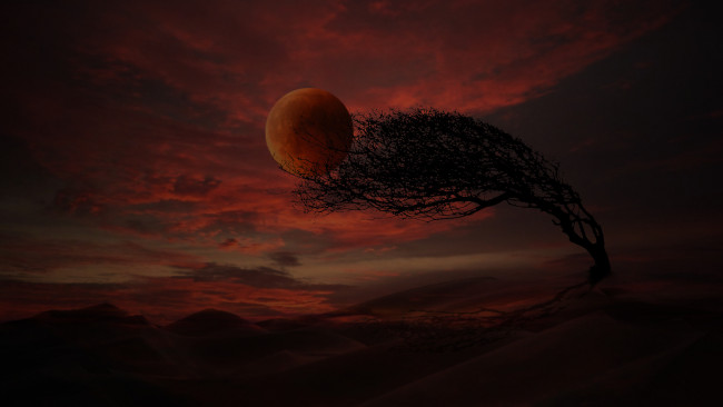 Обои картинки фото 3д, графика, atmosphere, mood, атмосфера, настроения, дерево, луна
