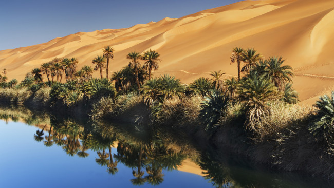 Обои картинки фото природа, пустыни, вода, песок, оазис