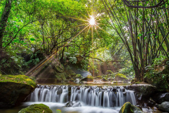Картинка природа водопады водопад деревья поток лучи