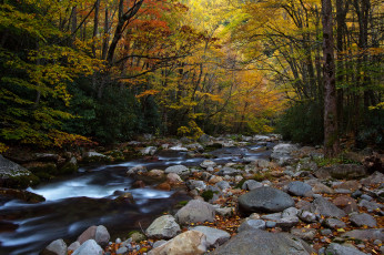 Картинка big+creek природа реки озера камни река краски лес осень