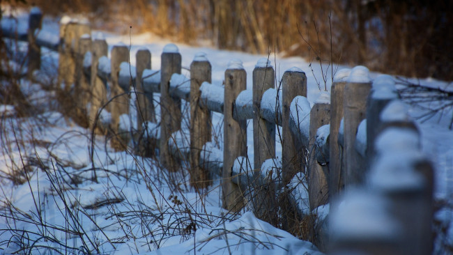 Обои картинки фото природа, зима, ограда, забор, трава, снег