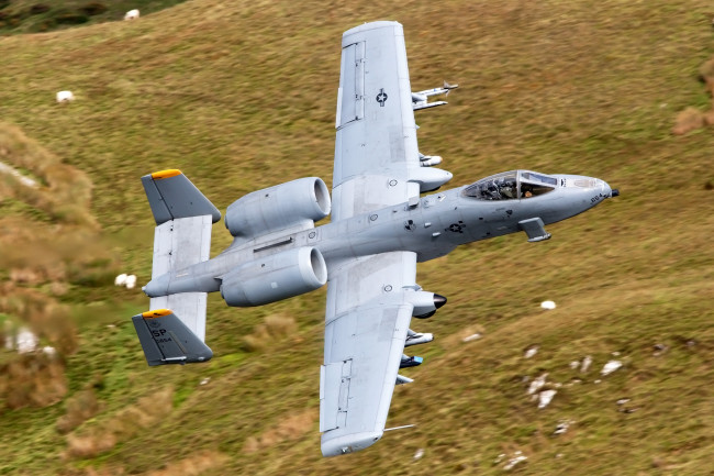 Обои картинки фото a-10 thunderbolt ii, авиация, боевые самолёты, полёт, штурмовик