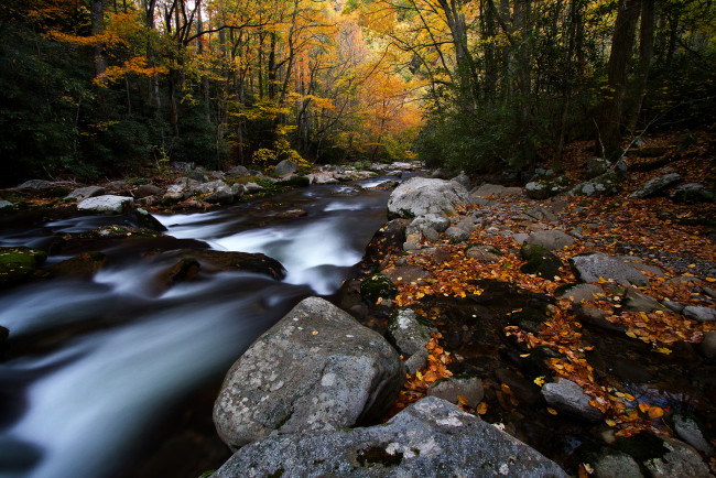Обои картинки фото big creek, природа, реки, озера, осень, лес, краски, камни, река