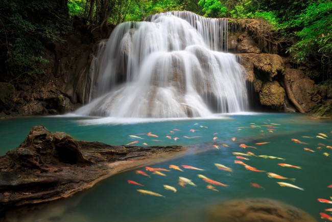 Обои картинки фото природа, водопады, водопад, рыбы, таиланд