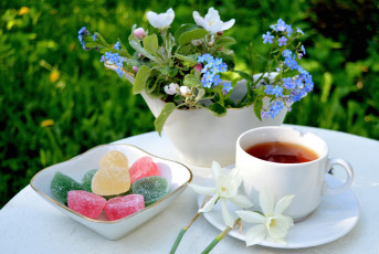 Картинка еда натюрморт букет цветы чай мармелад незабудки нарцисс яблоня