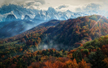 Картинка природа горы лес