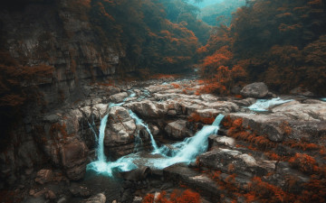 Картинка природа реки озера лес скала поток