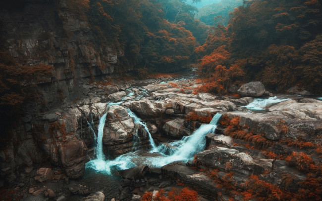 Обои картинки фото природа, реки, озера, лес, скала, поток