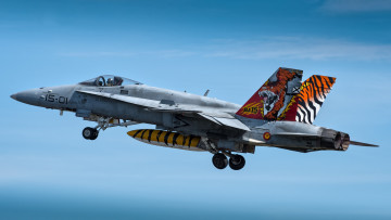 Картинка mcdonnell+douglas+ef-18m+hornet авиация боевые+самолёты ввс