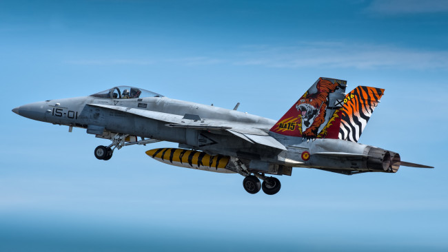 Обои картинки фото mcdonnell douglas ef-18m hornet, авиация, боевые самолёты, ввс