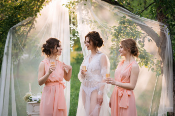 Картинка девушки -+группа+девушек подружки невеста бокалы вино