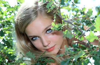 Картинка девушки -+лица +портреты девушка модель блондинка красотка взгляд макияж лицо портрет листья дерево дуб sienna aquamarine