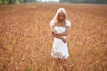 Картинка катя+котаро девушки поле блондинка платье