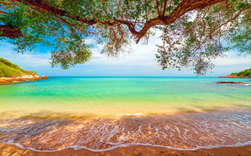 Картинка природа тропики море пляж