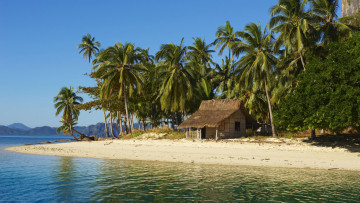 Картинка природа тропики песок дом пальмы