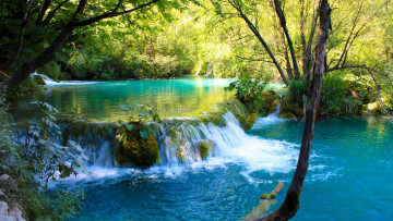Картинка природа водопады водопад вода джунгли деревья ветви