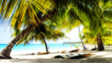 Картинка природа тропики пляж океан море берег пальмы