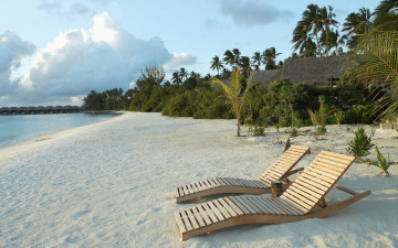 Картинка природа тропики пальмы песок лежаки море