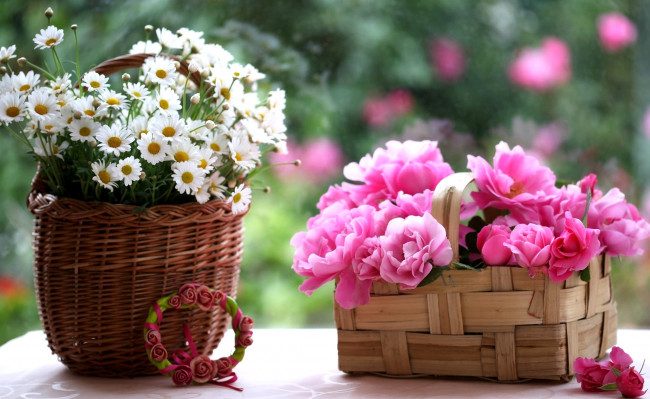 Обои картинки фото цветы, разные, вместе, розы, корзинки, ромашки