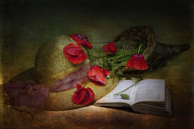 Обои картинки фото цветы, маки, шляпа, книга