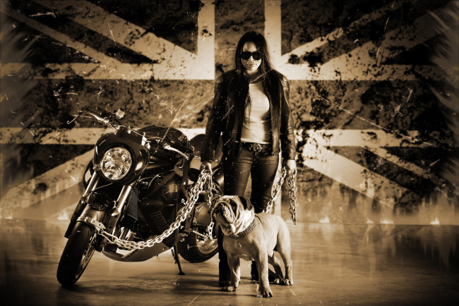 Обои картинки фото triumph, speed, triple, мотоциклы, мото, девушкой, motorcycles, великобритания